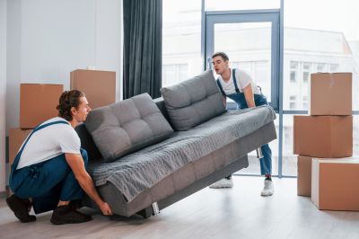 Sofa Assembly