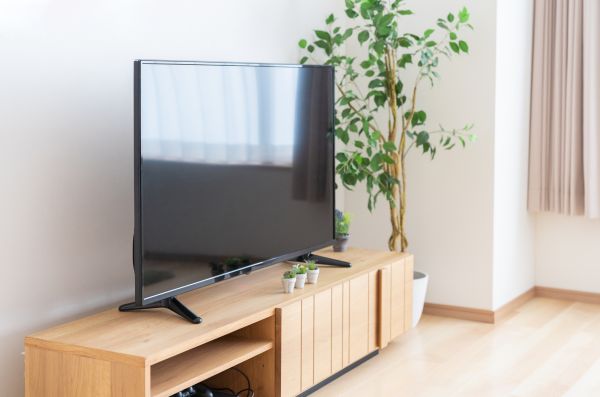 TV Stand Assembly in Federal Way