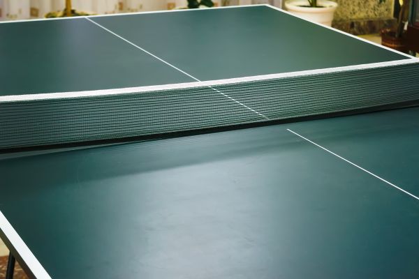 Ping Pong Table Assembly in Federal Way